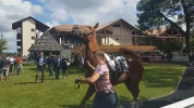 Gagnante avant sa première course