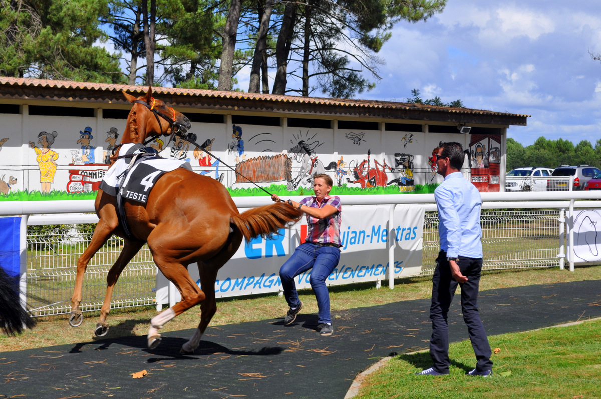 près des voitures Pyla Classic Cars, la jument nerveuse au rond qui gagnera la première course