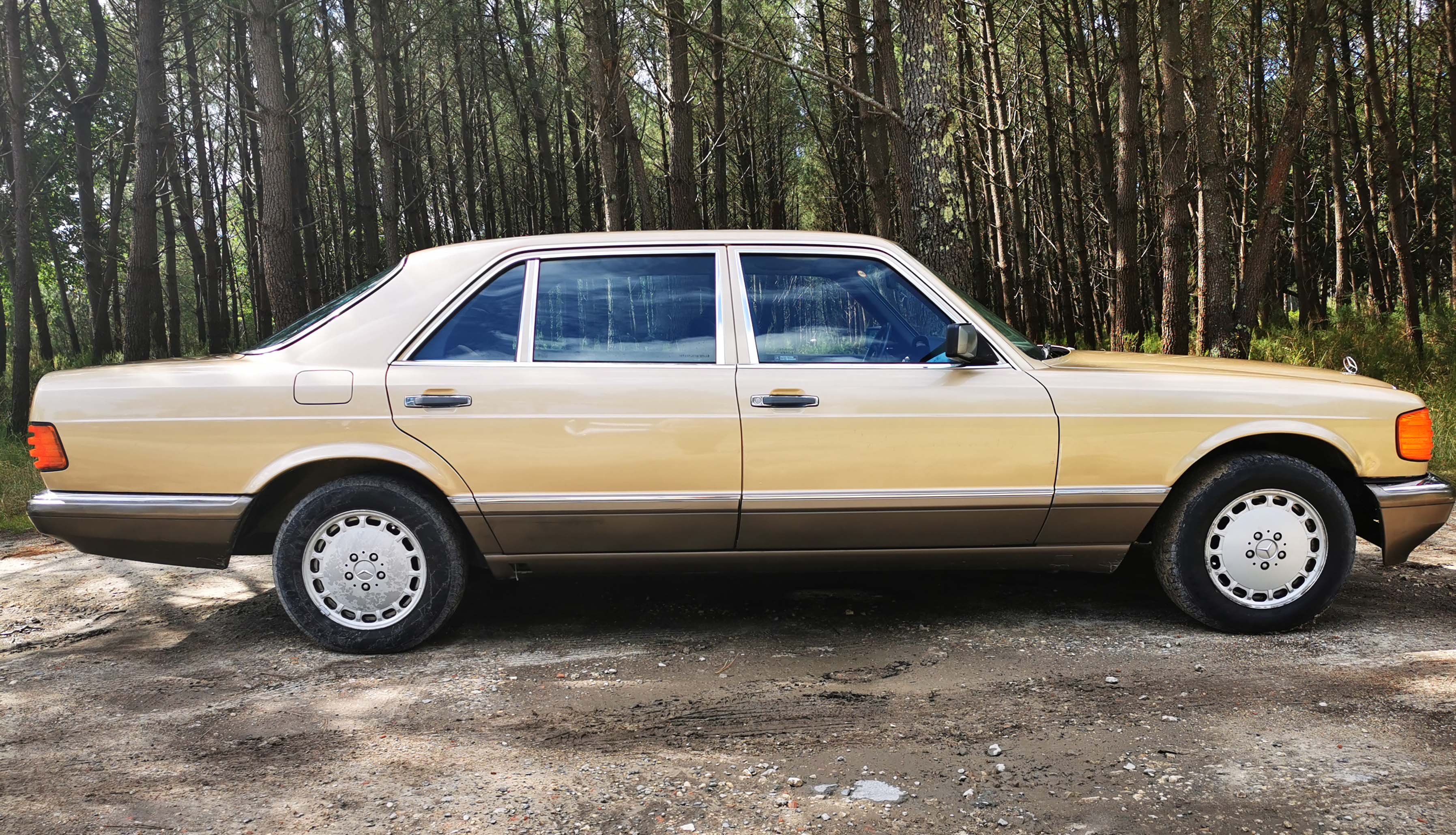 A VENDRE rare Mercedes Classe S 420 SEL moteur V8, CT récent ok !