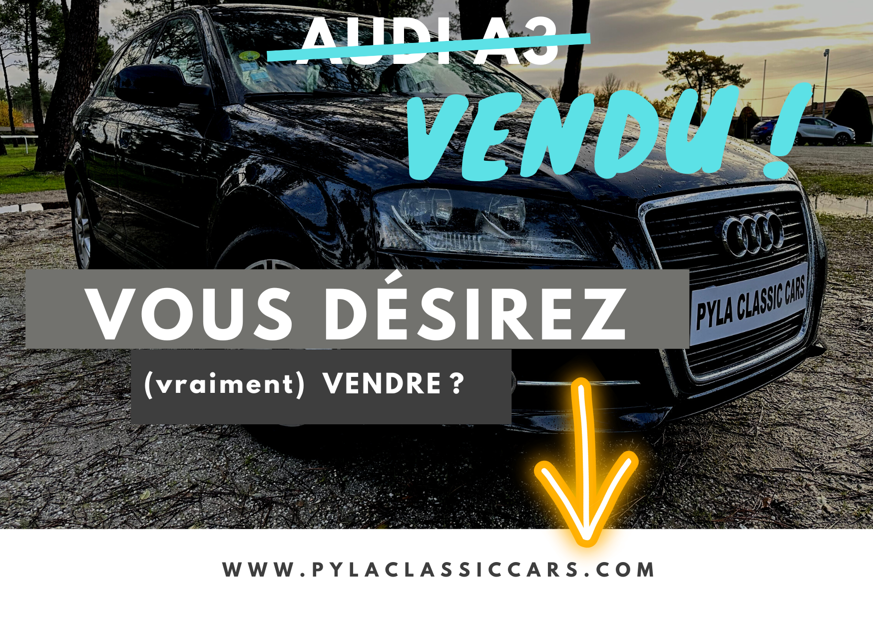 Véhicules d'occasion à vendre à La Teste