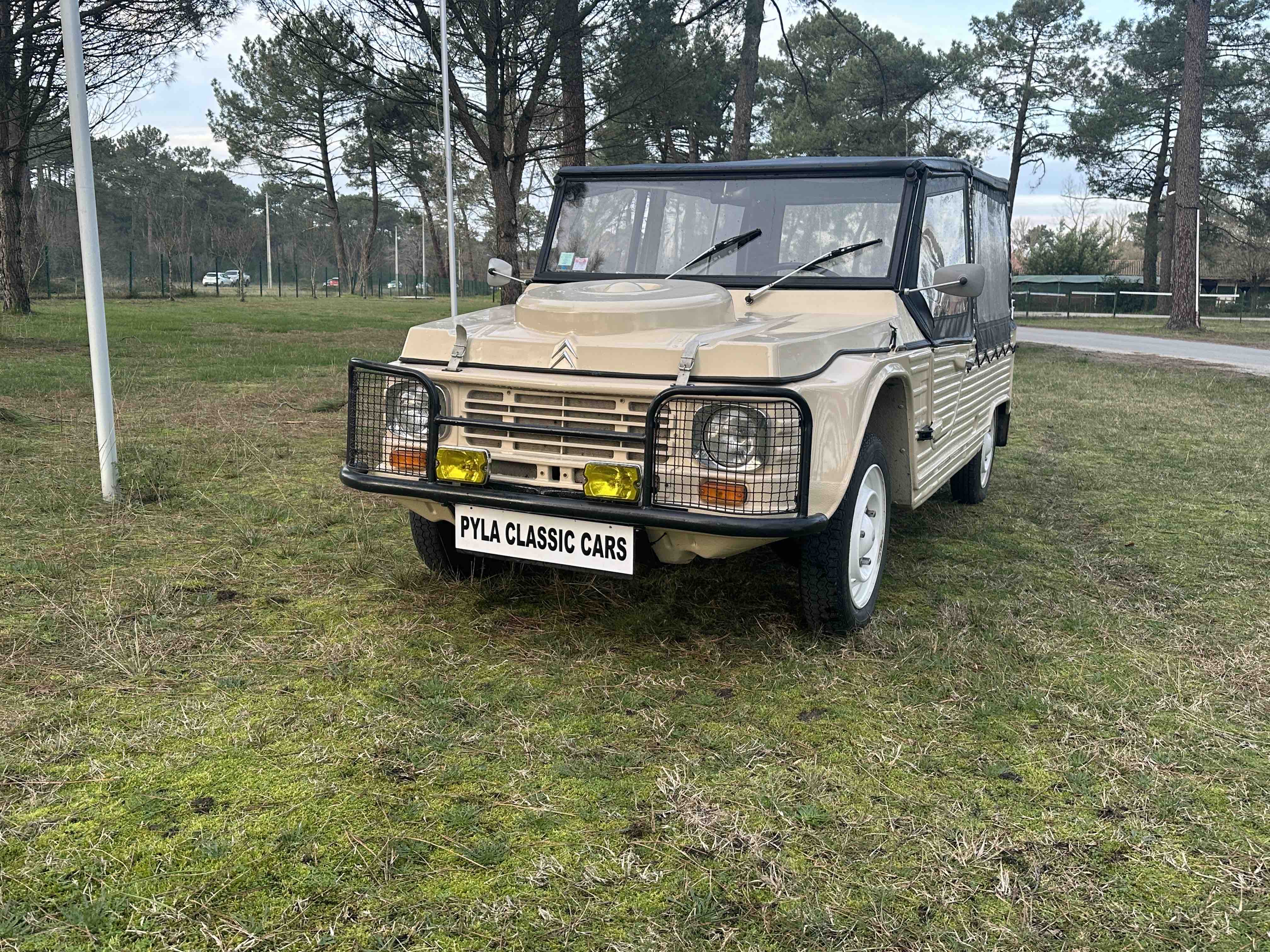 Méhari et 2CV à vendre : trouvez la méhari ou la 2CV parfaite pour vous
