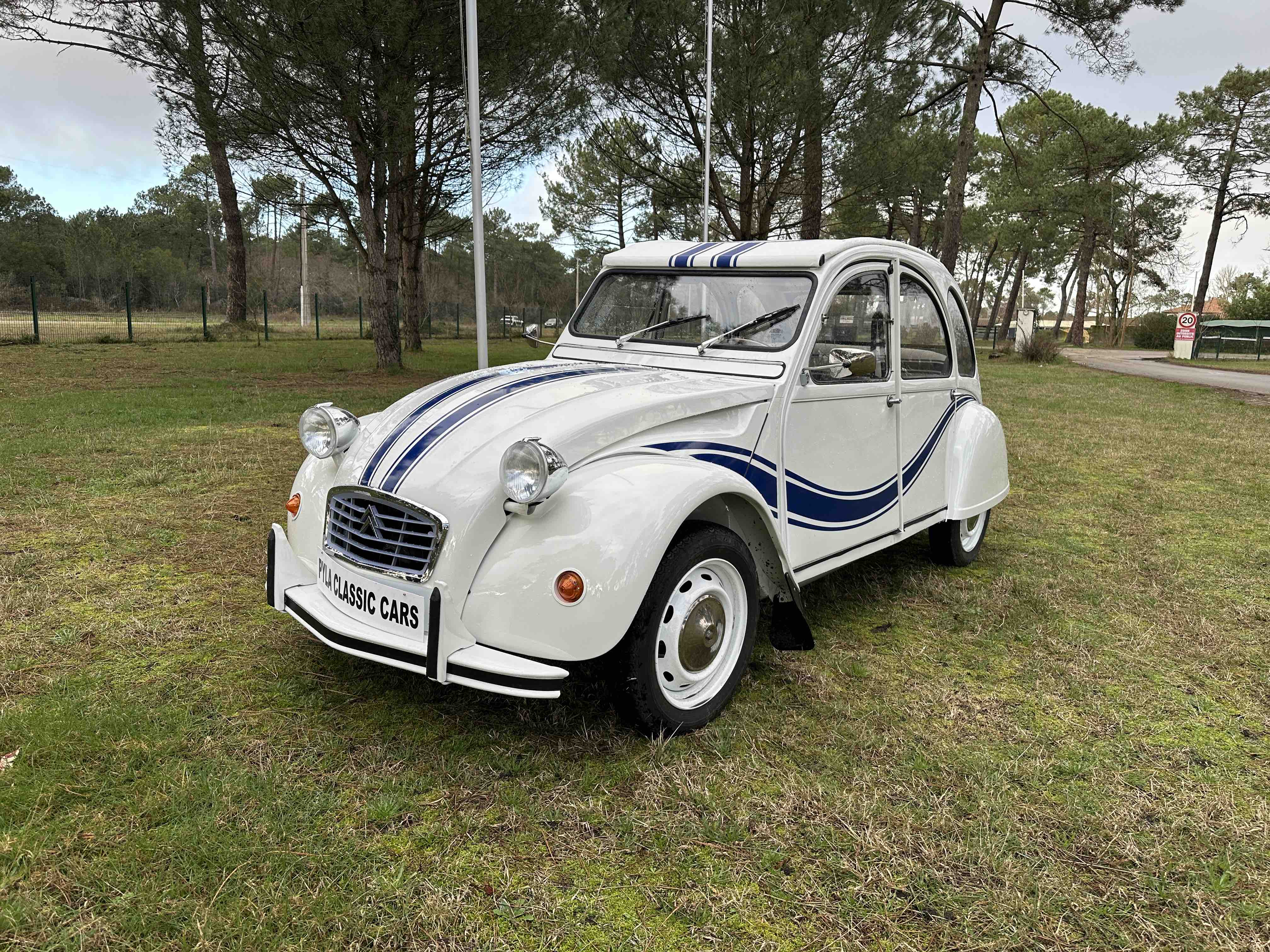 Citroën 2CV look France 3