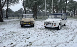 Méhari et 2CV à vendre : trouvez la méhari ou la 2CV parfaite pour vous