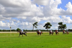 poteau-arrivee-hippodrome-la-teste