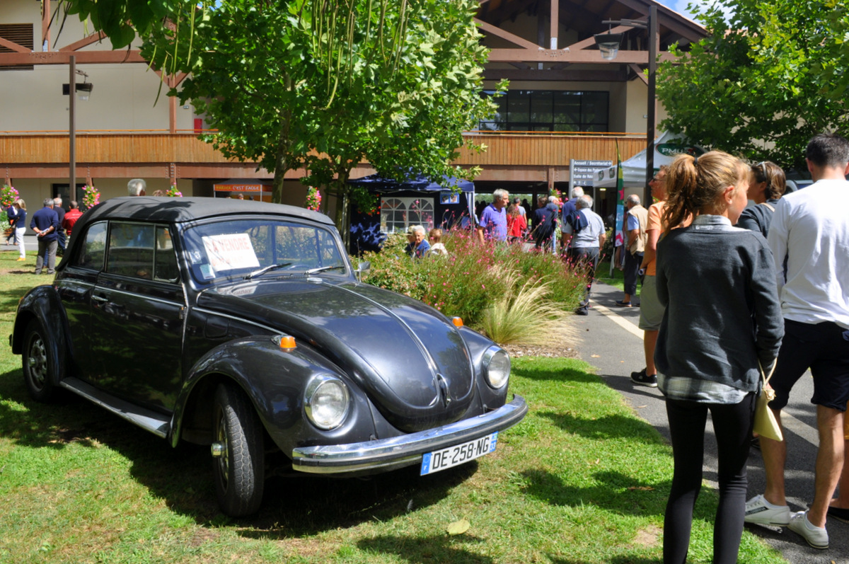 coccinelle-hippodrome-la-teste