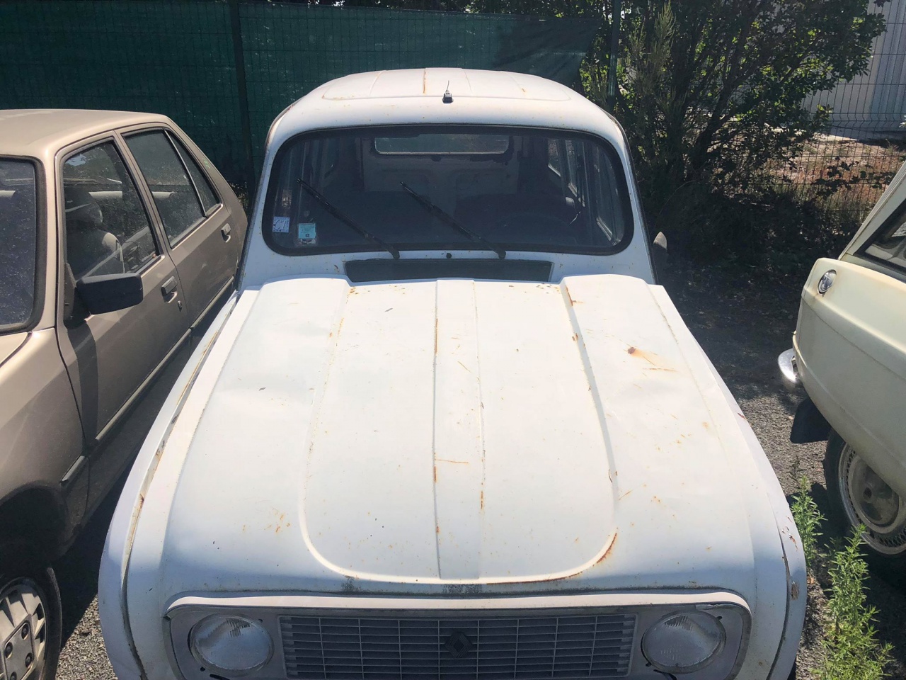 40766743_1085365584979242_7670912466552881152_n